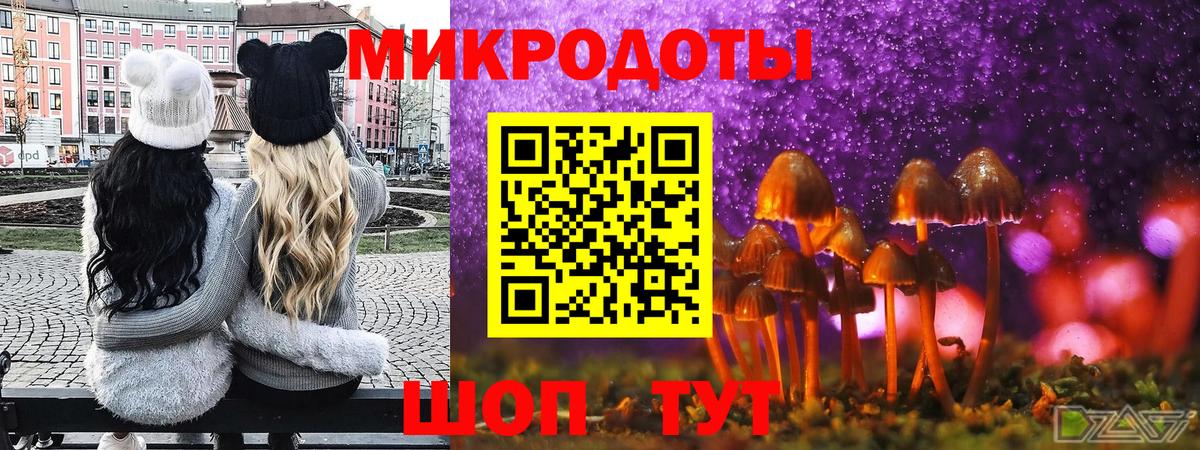 Псилоцибиновые грибы мухоморы Сланцы