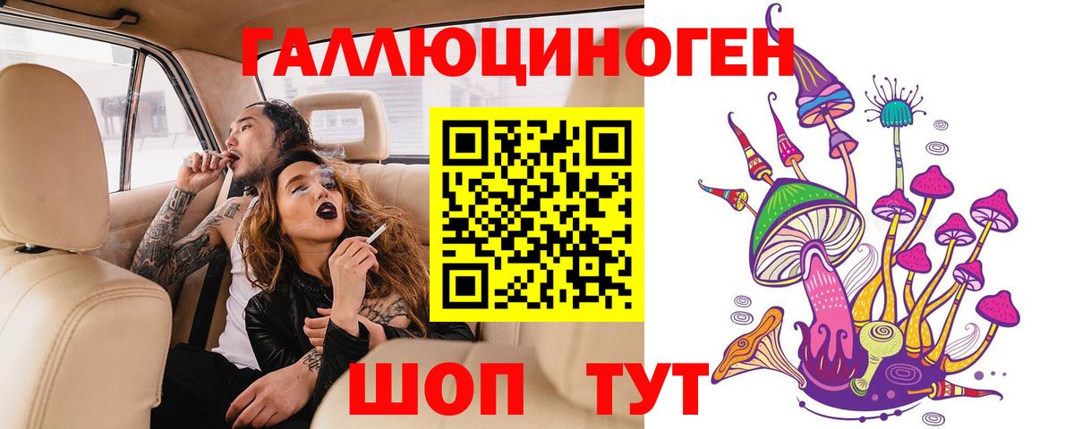Псилоцибиновые грибы GOLDEN TEACHER  Галлюциногенные грибы GOLDEN TEACHER  Вход с VPN  Сланцы 